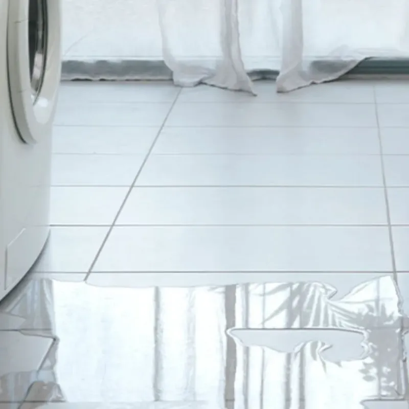 Appliance Leak Cleanup in Vashon, WA